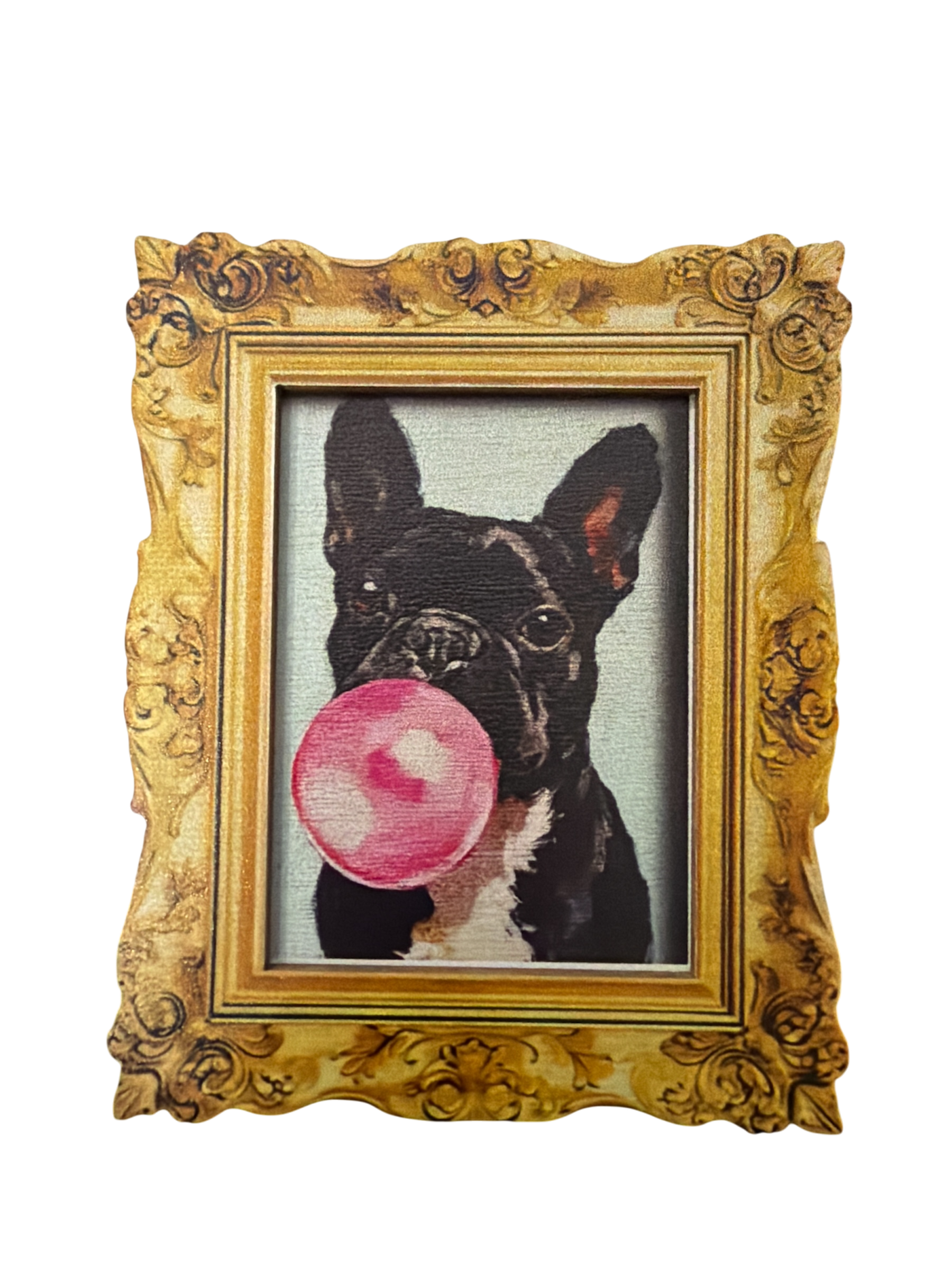 Mini Framed Magnets